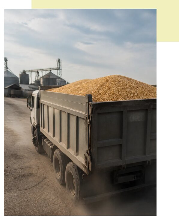 Перевозка сельхозпродукции навалом в Шую по цене от 3084 р. | Агросервис-Шуя