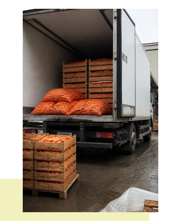 Перевозка моркови в Шую автомобильным транспортом